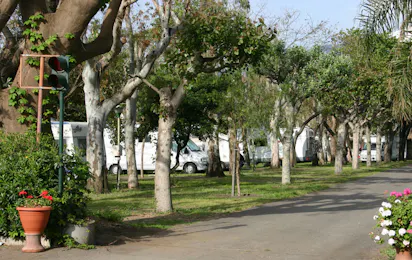 Camping Mokambo
