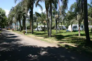 Camping Mokambo - Wohnwagen und Wohnmobile unter Palmen auf dem Campingplatz