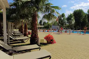 Camping Molino a Fuoco - Der Poolbereich des Campingplatzes mit Sonnenliegen unter Palmen am Rand