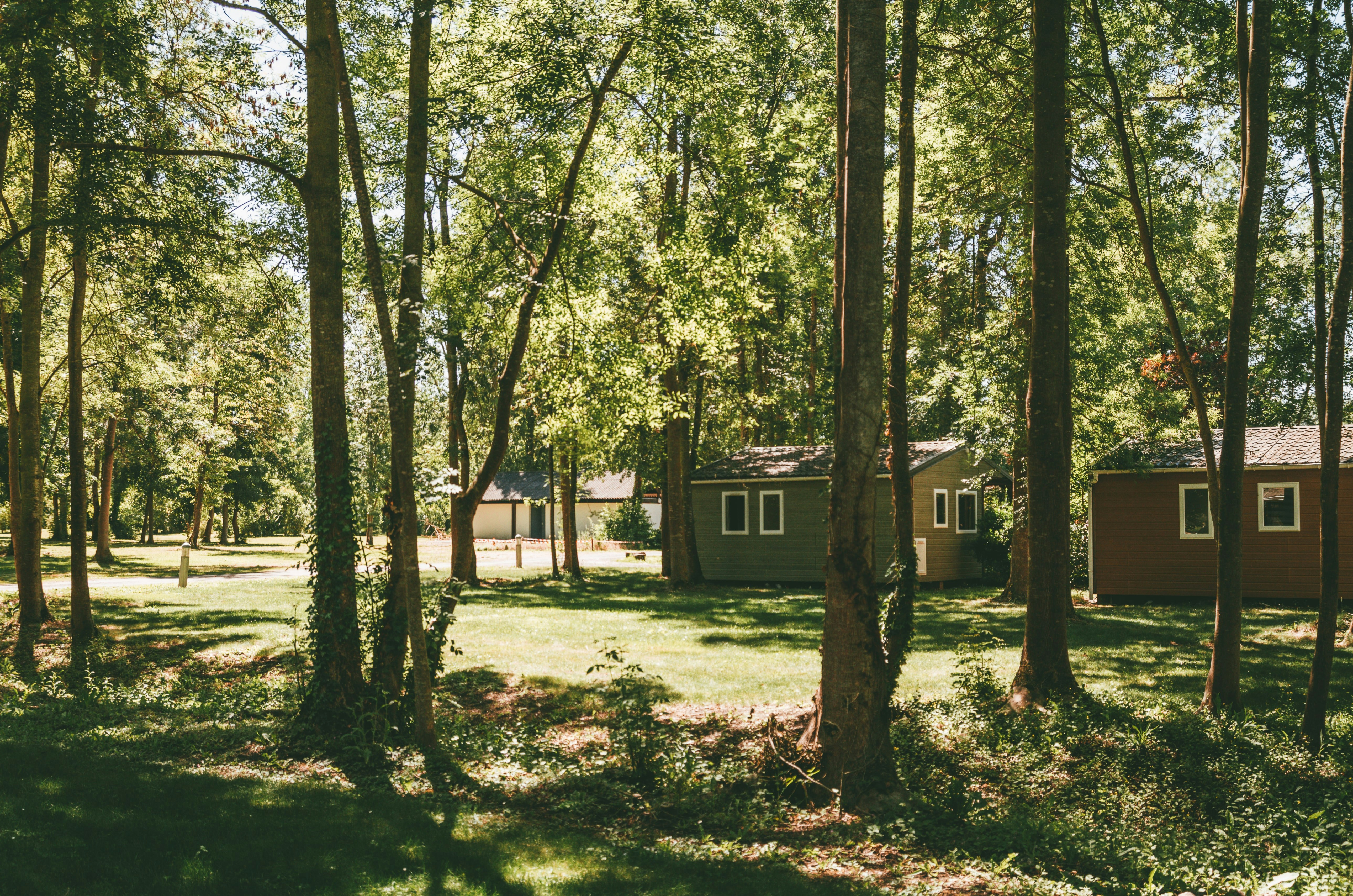 Mobilheime auf dem Campingplatz im Wald, umgeben von hohen Bäumen und Rasenflächen.