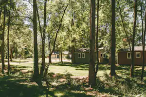 Mobilheime auf dem Campingplatz im Wald, umgeben von hohen Bäumen und Rasenflächen.