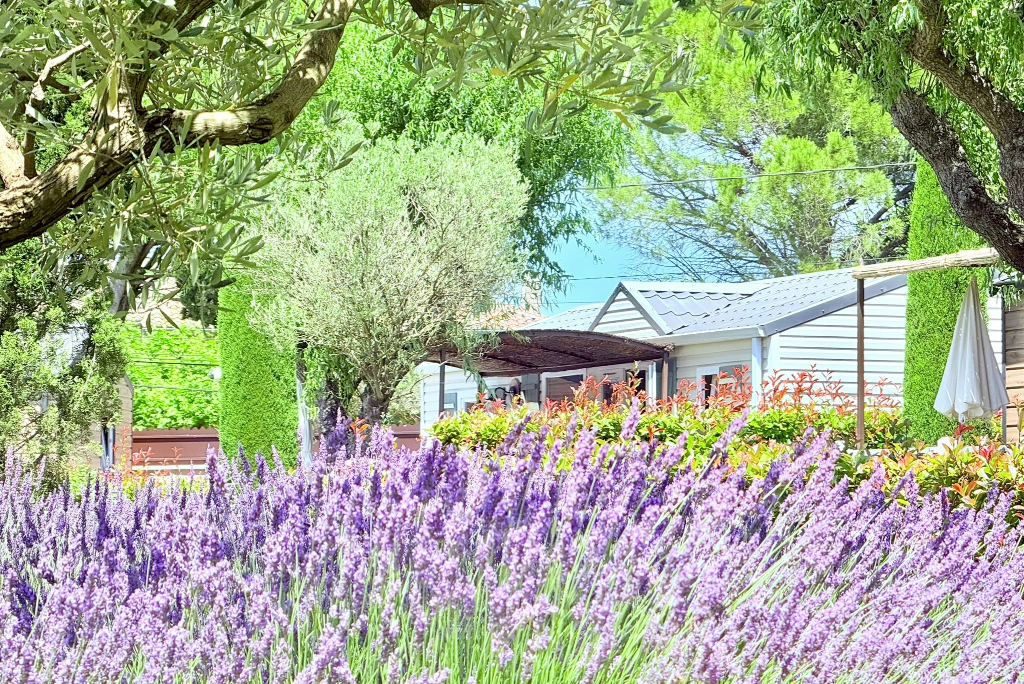 Camping Monplaisir Provence