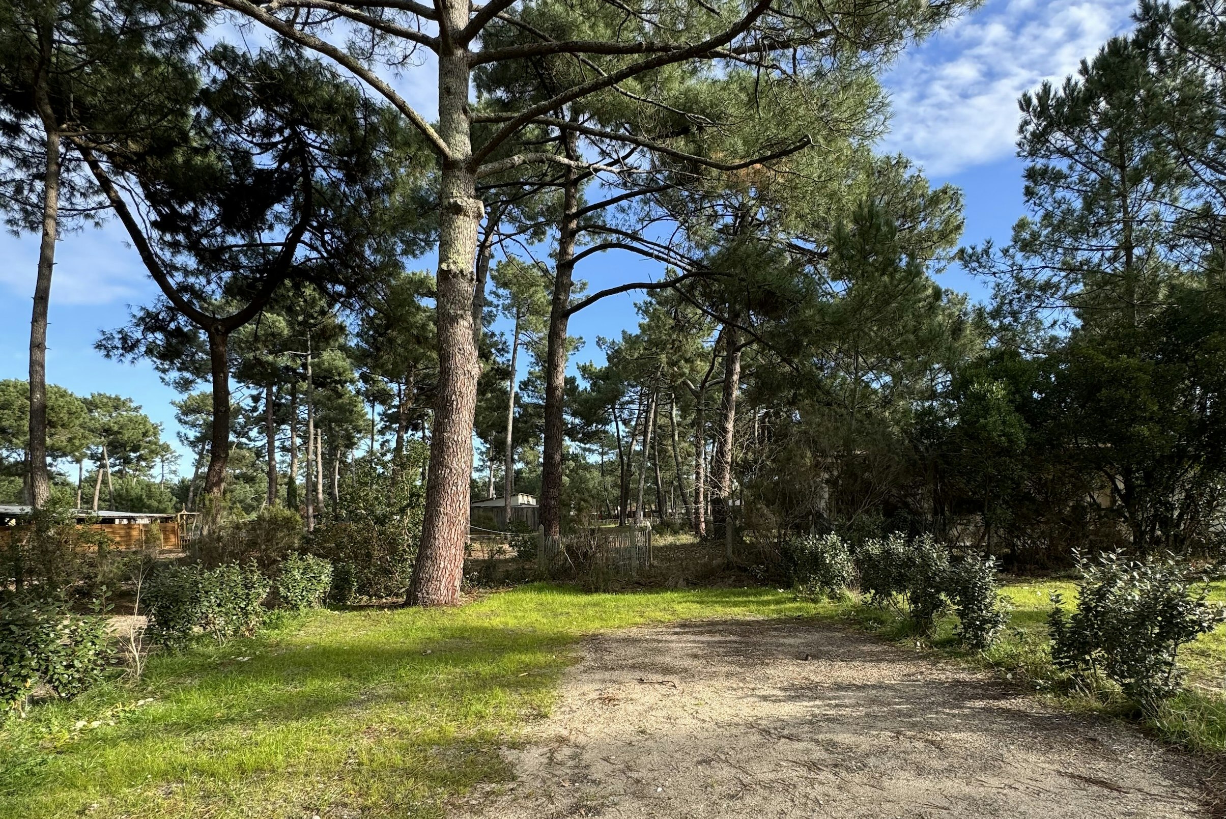 Camping MONTACABANA - Standplätze im Grünen auf dem Campingplatz