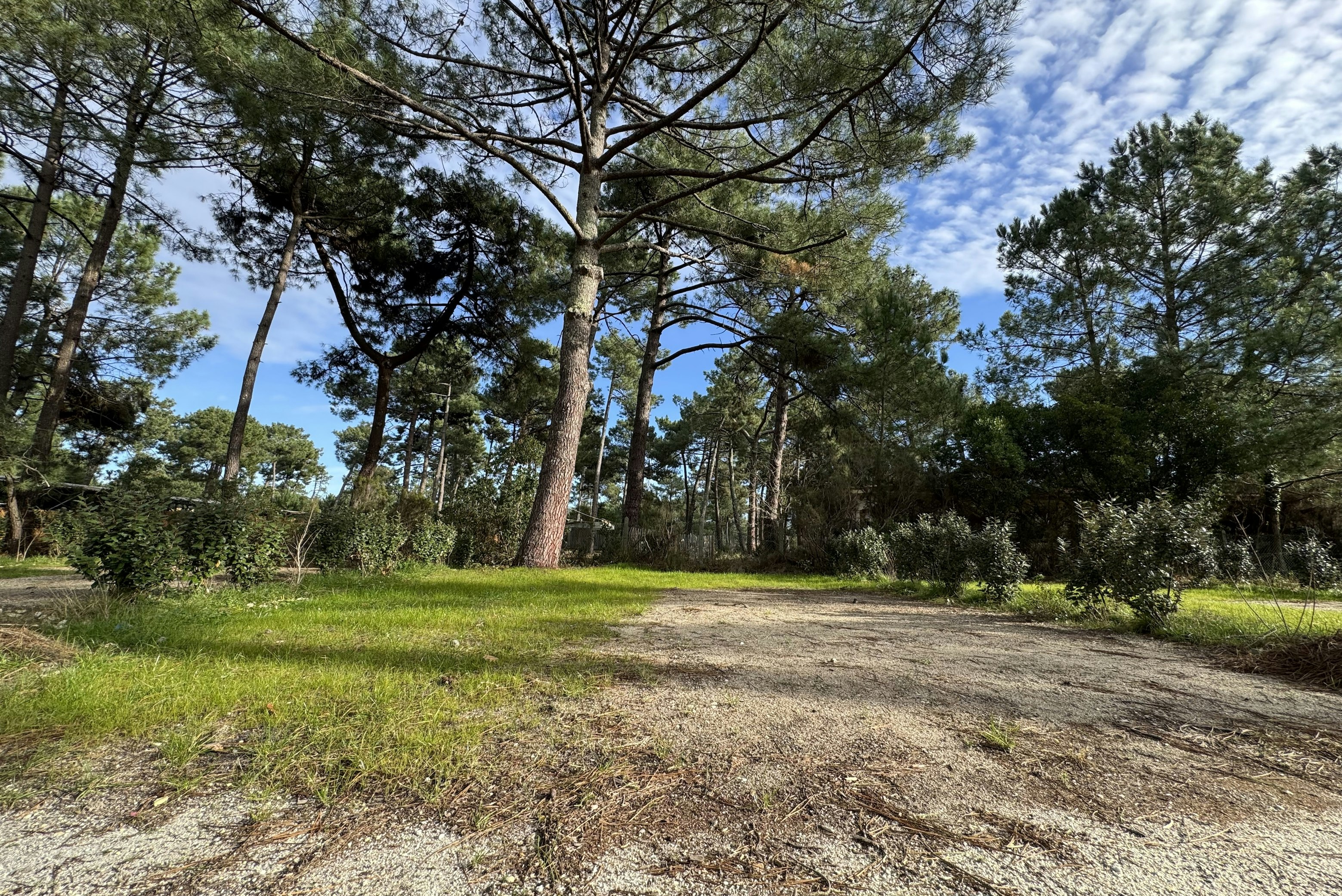 Camping MONTACABANA - Standplätze zwischen den Bäumen auf dem Campingplatz