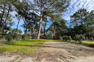 Campingplatz mit Grasfläche und Schotterweg, umgeben von hohen Bäumen und Sträuchern unter blauem Himmel.