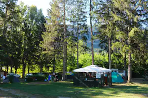 Camping Monte Bianco - Wohnwagen- und Zeltstellplatz unter Bäumen auf dem Campingplatz
