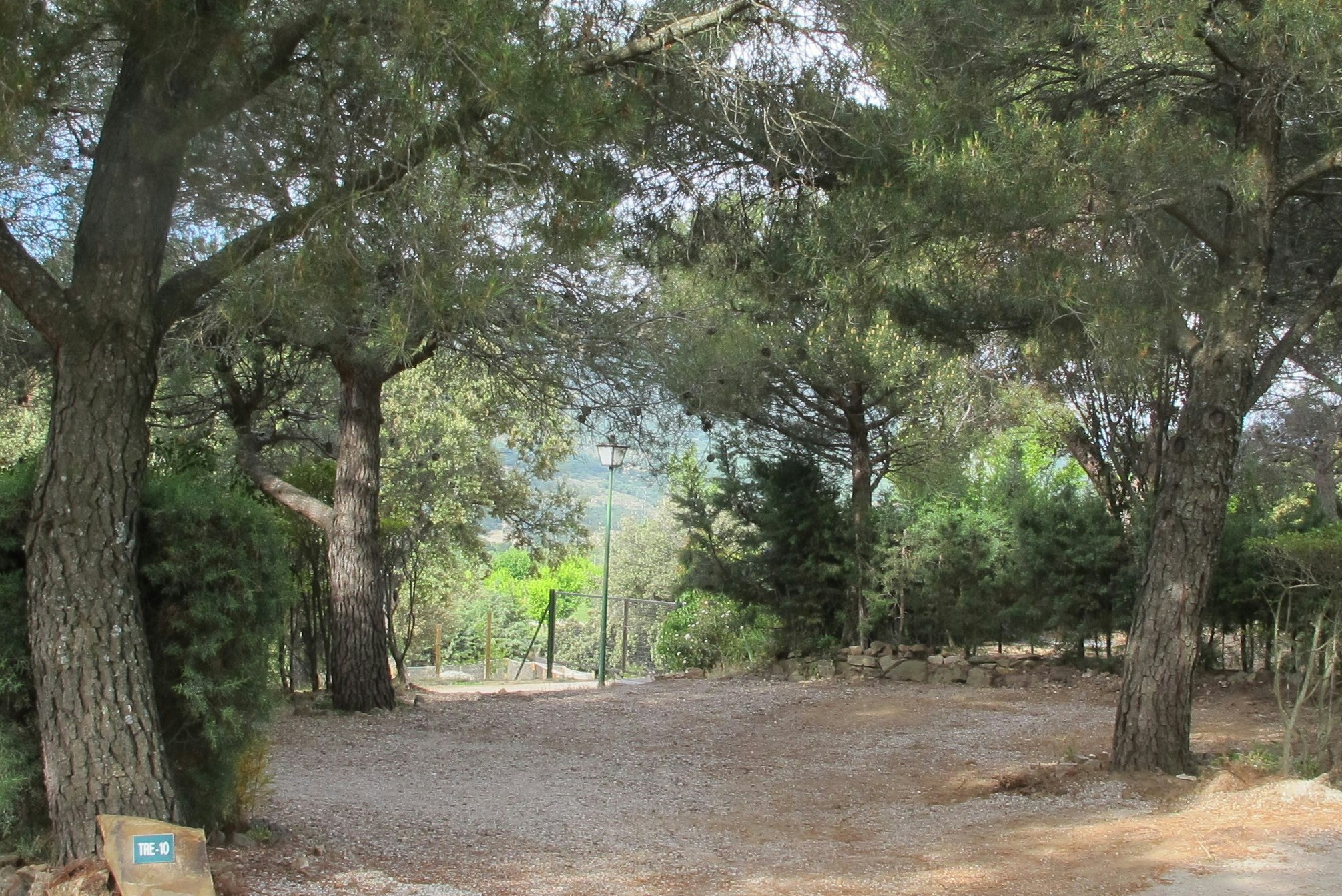 Camping Monte Holiday - Standplätze auf dem Campingplatz