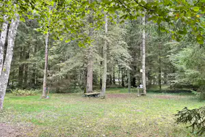 Camping Monte Rosa - Campingplatz umgeben von Wald