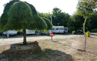 Camping Monterroso