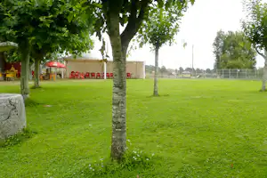 Camping Monterroso - Zeltstellplätze auf grüner Wiese auf dem Campingplatz
