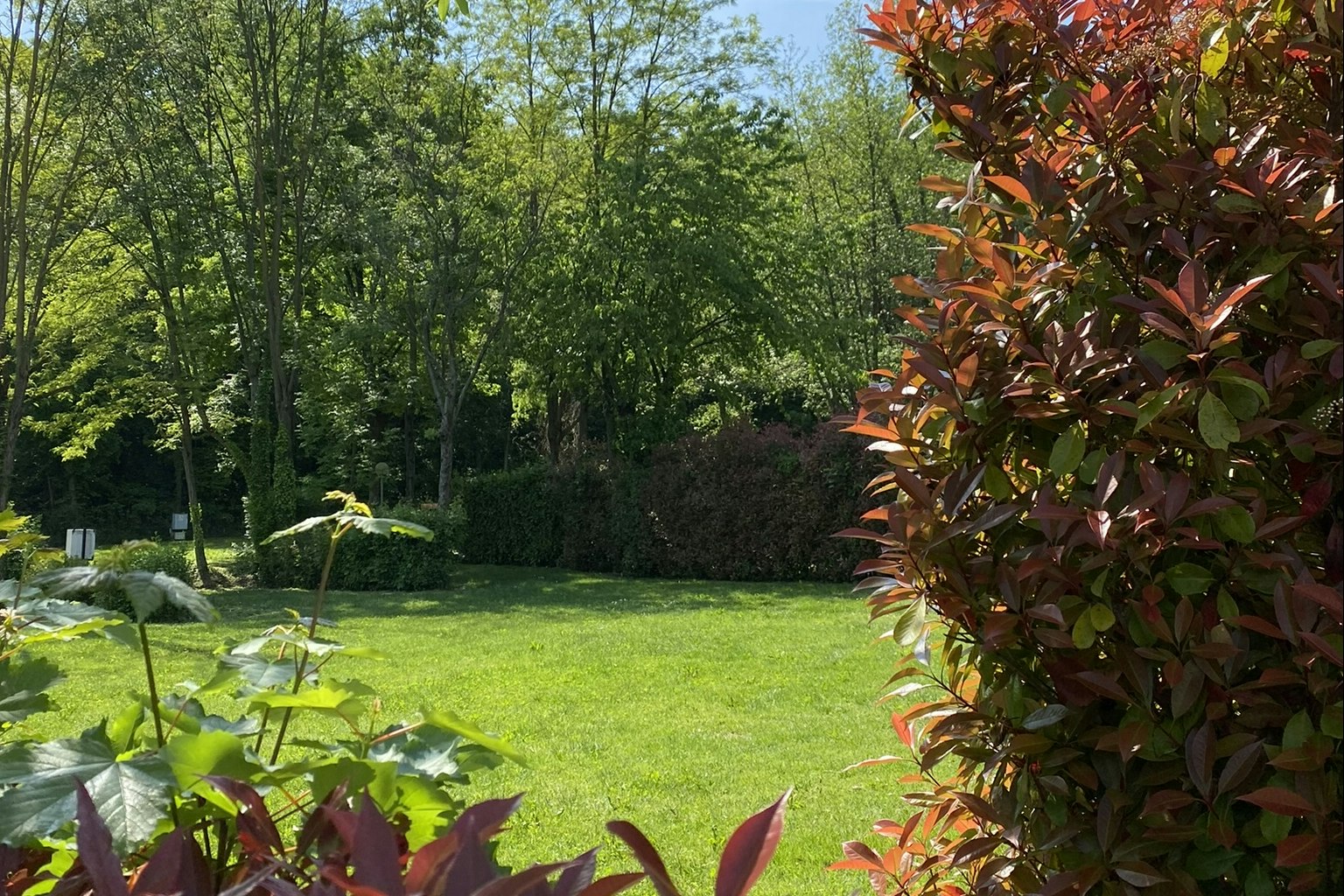 Camping Montorfano - Standplätze im Grünen auf dem Campingplatz