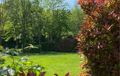 Camping Montorfano