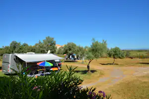Wohnmobil mit ausgeklapptem Vorzelt auf einem Campingplatz, Weg und Bäume in einer offenen Landschaft.