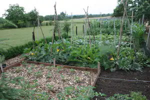 Camping Moongarden - Garten auf dem Campingplatz