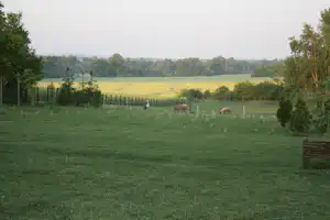 Camping Moongarden - Tiere am Campingplatz
