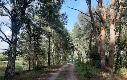 Camping Moorcamp