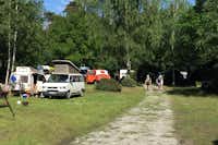 Camping Moorcamp - umringt von Wald Stellplätze