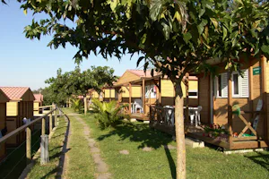 Camping Moreiras - Mobilheime zwischen Bäumen auf dem Campingplatz