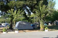 Camping Moreiras  -  Wohnwagen- und Zeltstellplatz zwischen Bäumen auf dem Campingplatz
