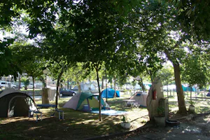 Camping Moreiras - Zeltstellplätze unter Bäumen auf dem Campingplatz