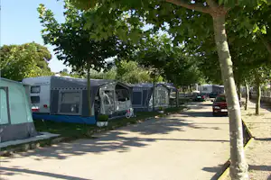 Wohnwagen und Zelte auf einem Campingplatz, entlang einer Allee mit Bäumen und einem Kiesweg.