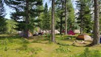 Camping Morteratsch - Zeltplätze umringt von Wald auf dem Campingplatz
