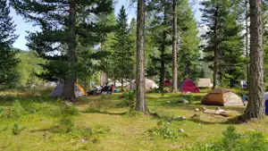 Campingplatz im Wald: mehrere Zelte, Campingstühle und ein Tisch zwischen hohen Bäumen auf einer grünen Wiese.