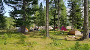 Camping Morteratsch - Zeltplätze umringt von Wald auf dem Campingplatz