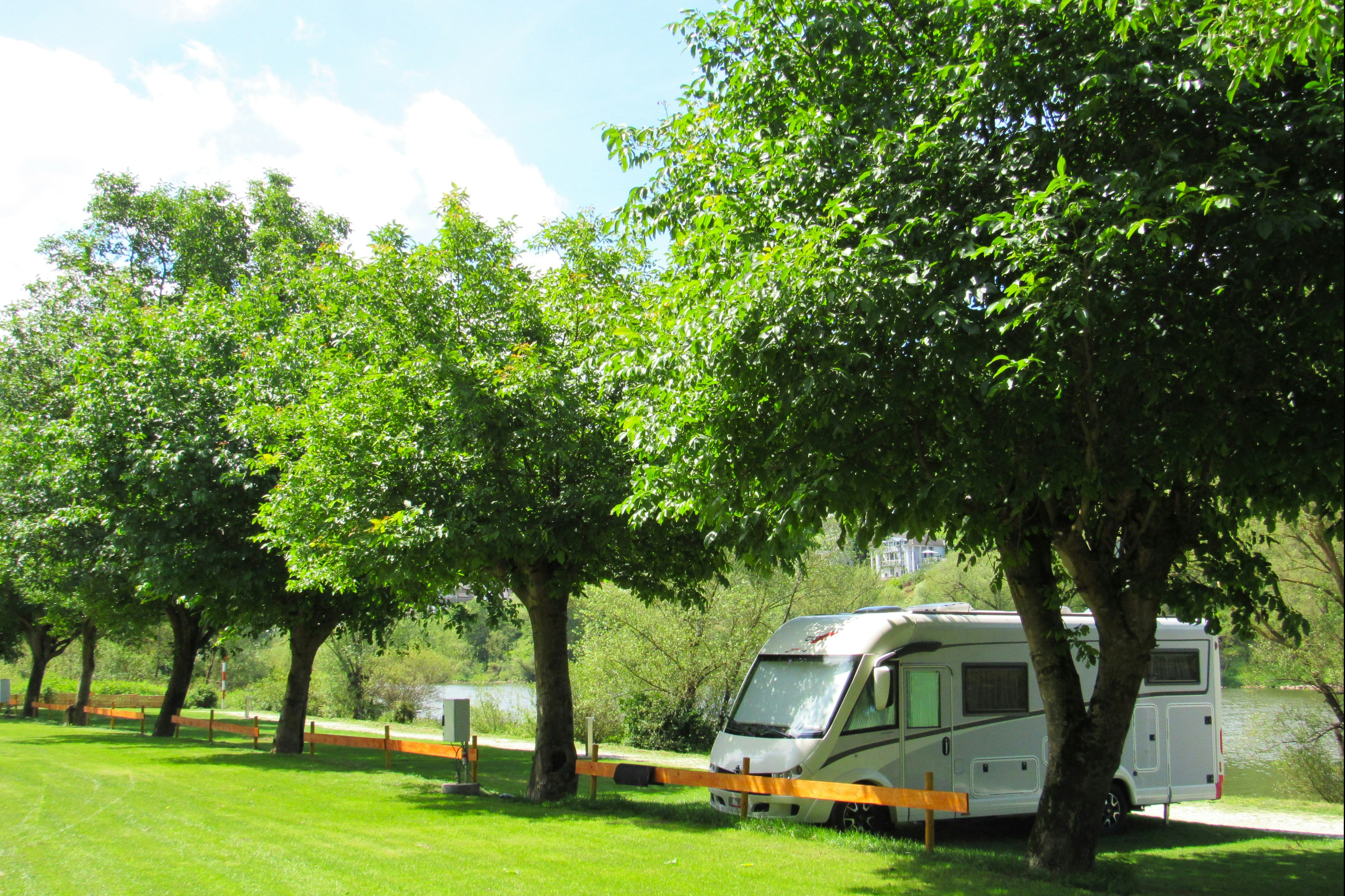 Wohnmobil auf einem Stellplatz im Grünen, mit Holzbegrenzung und Bäumen im Vordergrund.