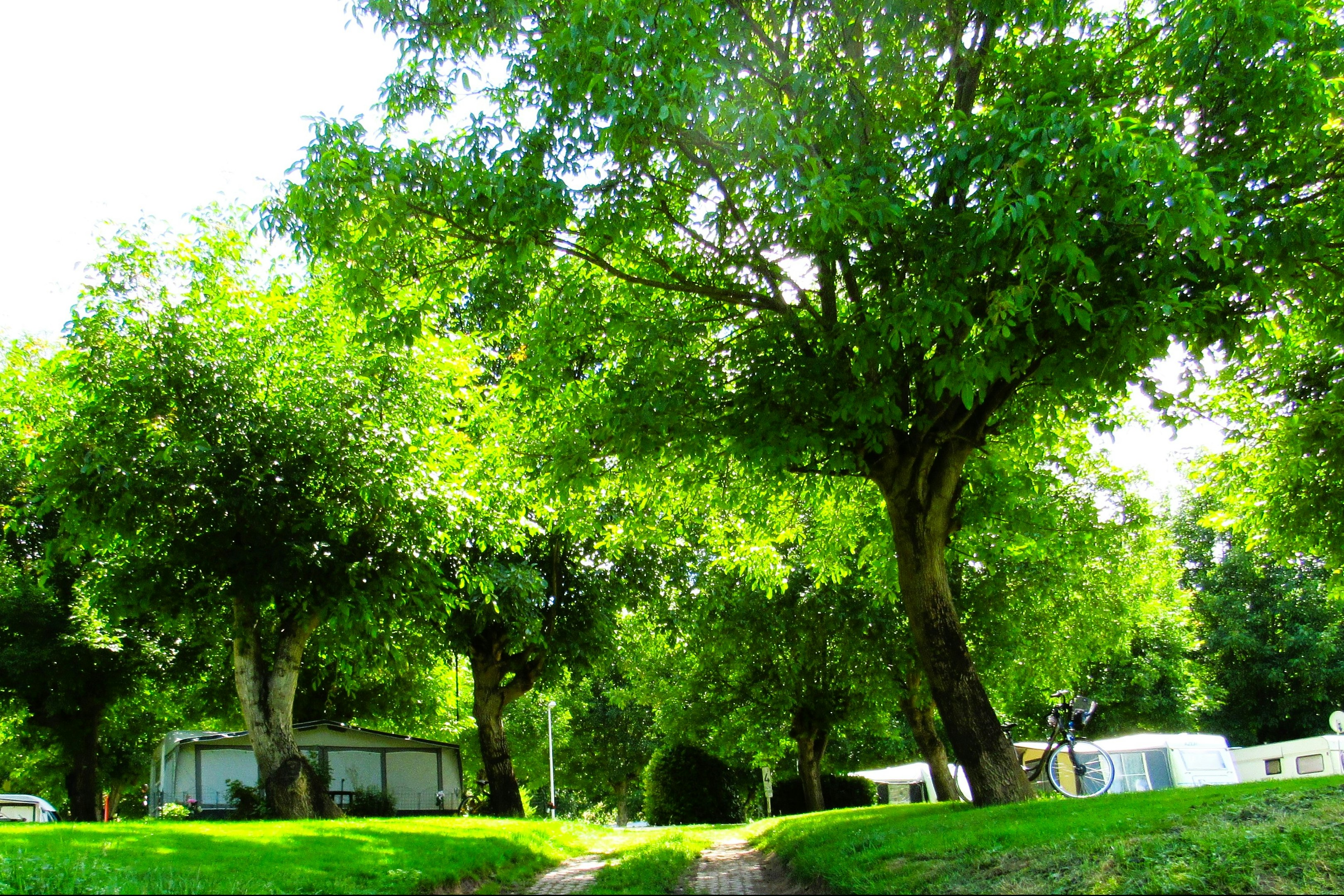 Grüner Campingplatz mit Rasen, mehreren Wohnwagen und Zelten im Hintergrund, umgeben von hohen Bäumen.