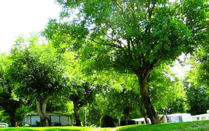 Campingplatz Moselland