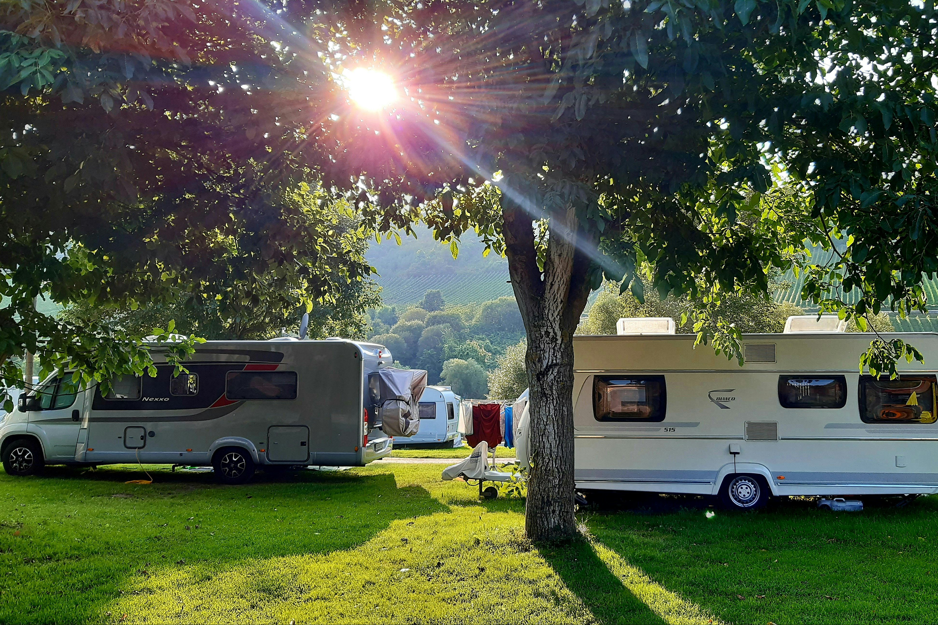 Wohnmobile auf einem Campingplatz auf einer grünen Wiese, im Hintergrund Bäume und ein Wohnwagen mit Markise.