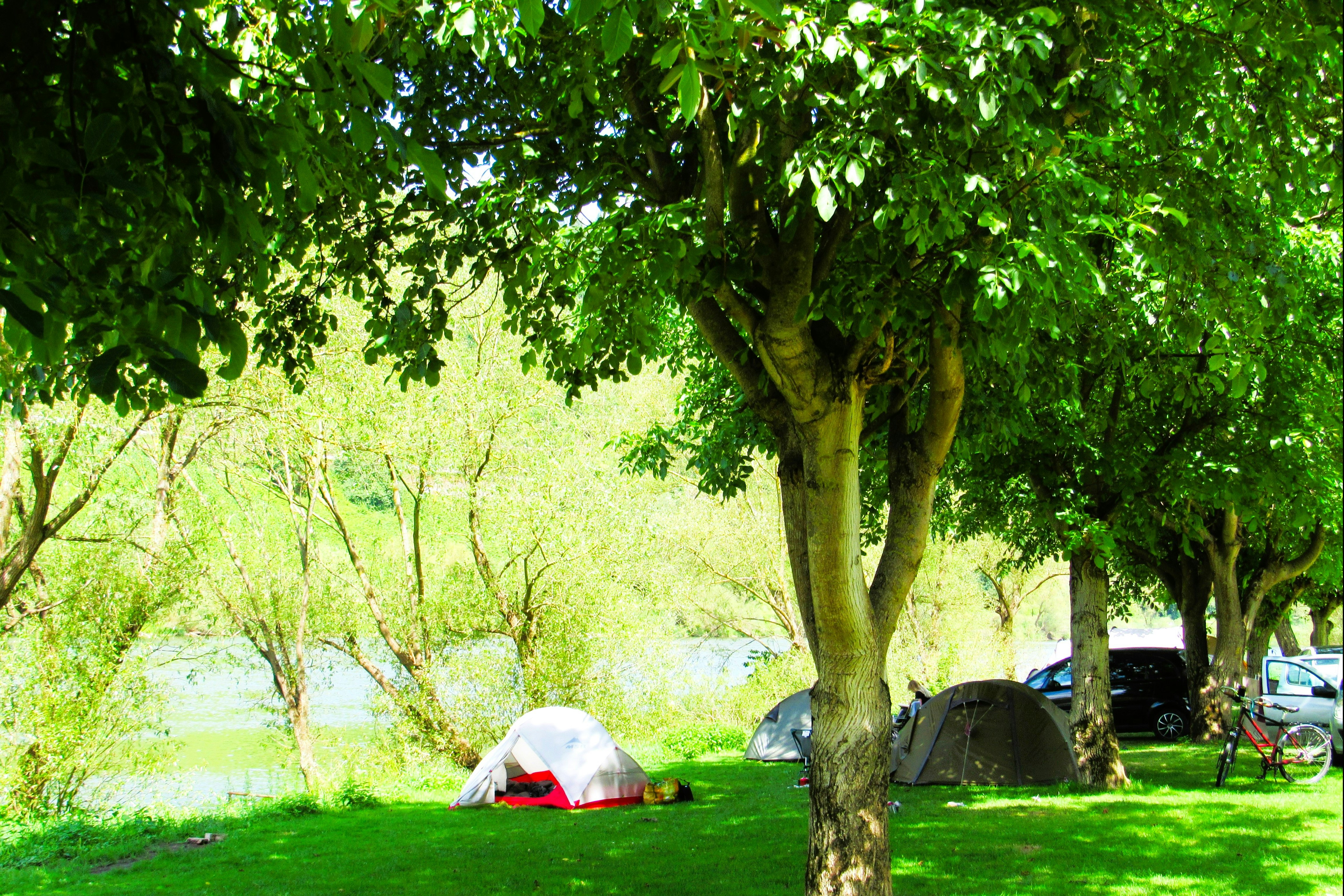 Zelte auf einer grünen Wiese im Campingplatz, Schatten von Bäumen und ein Wohnwagen neben dem Zelt.