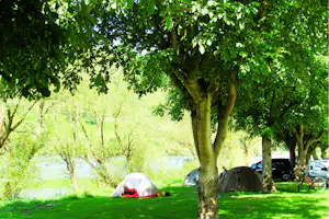 Zelte auf einer grünen Wiese im Campingplatz, Schatten von Bäumen und ein Wohnwagen neben dem Zelt.