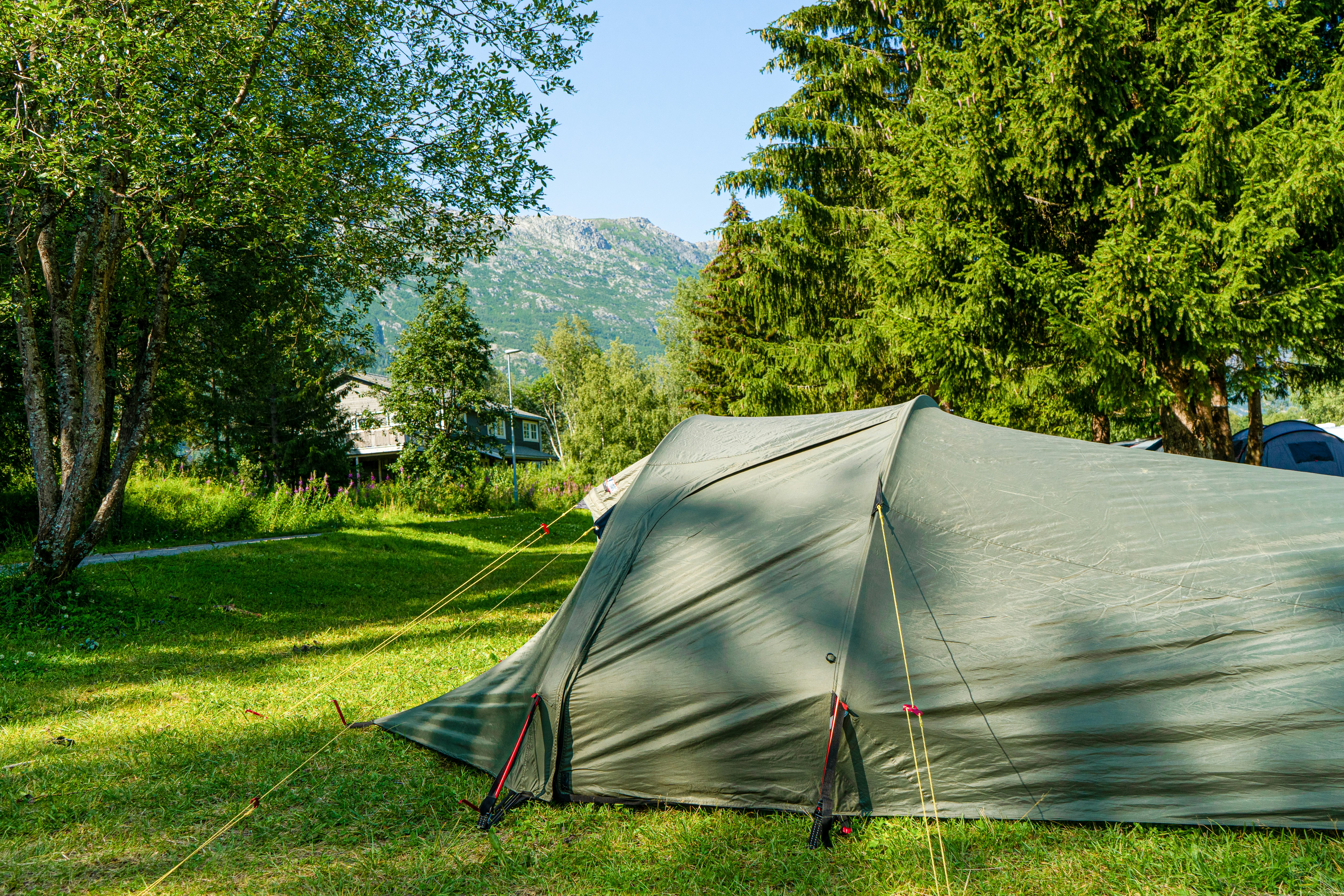 Topcamp Mosjøen - Zelt auf einer grünen Wiese umgeben von Bäumen 