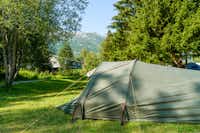Topcamp Mosjøen - Zelt auf einer grünen Wiese umgeben von Bäumen 