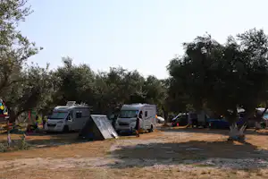 Campingplatz mit Wohnmobilen und Zelt zwischen Bäumen, im Hintergrund weitere Fahrzeuge und Stellplätze.