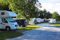 Camping Mosvangen -  Wohnwagen- und Zeltstellplatz vom Campingplatz zwischen Bäumen 