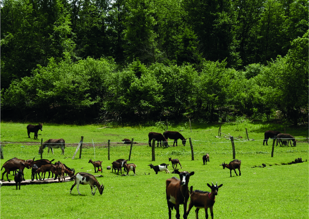 Camping Moulin Begeot