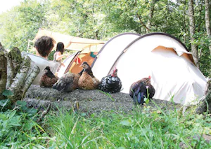 Camping Moulin Begeot