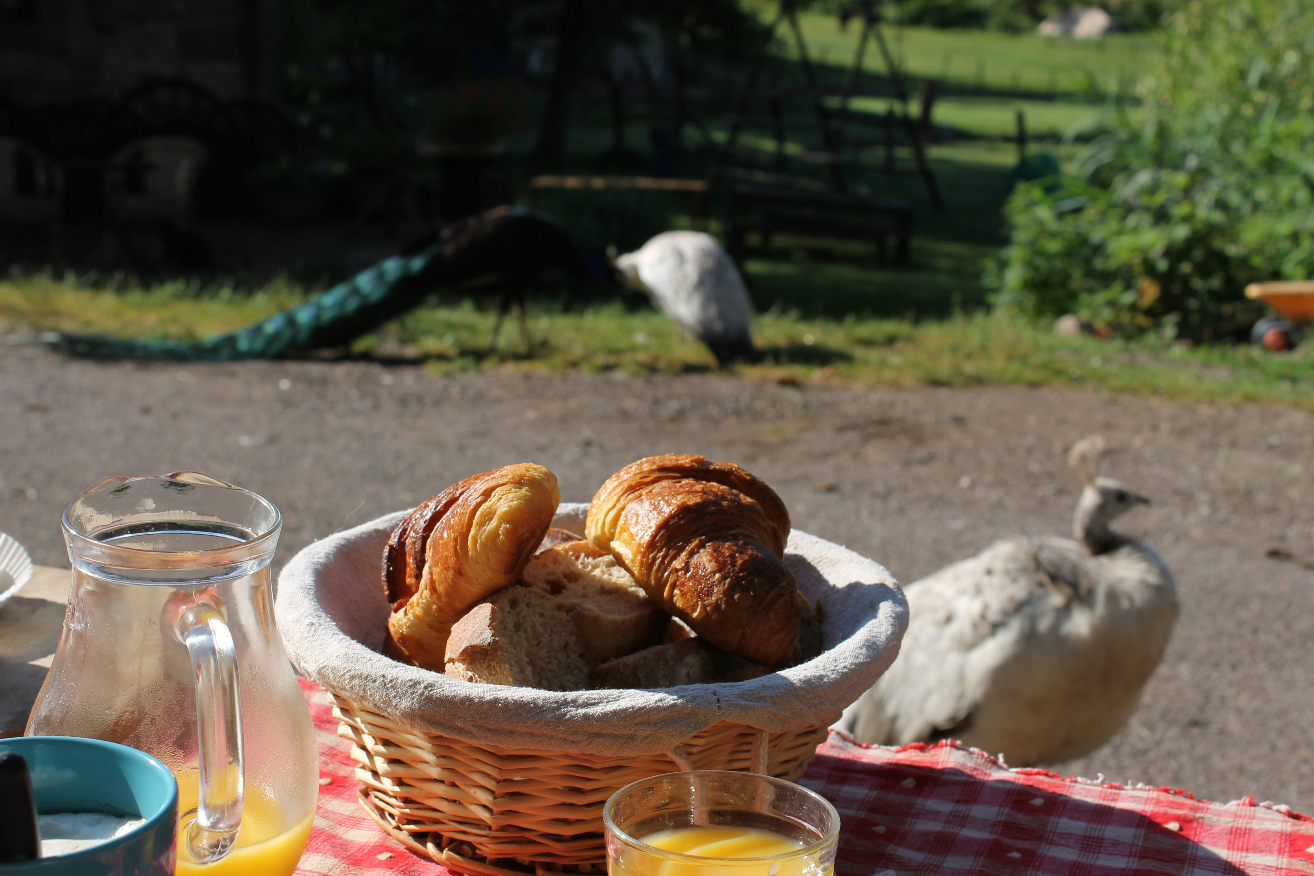 Camping Moulin Begeot