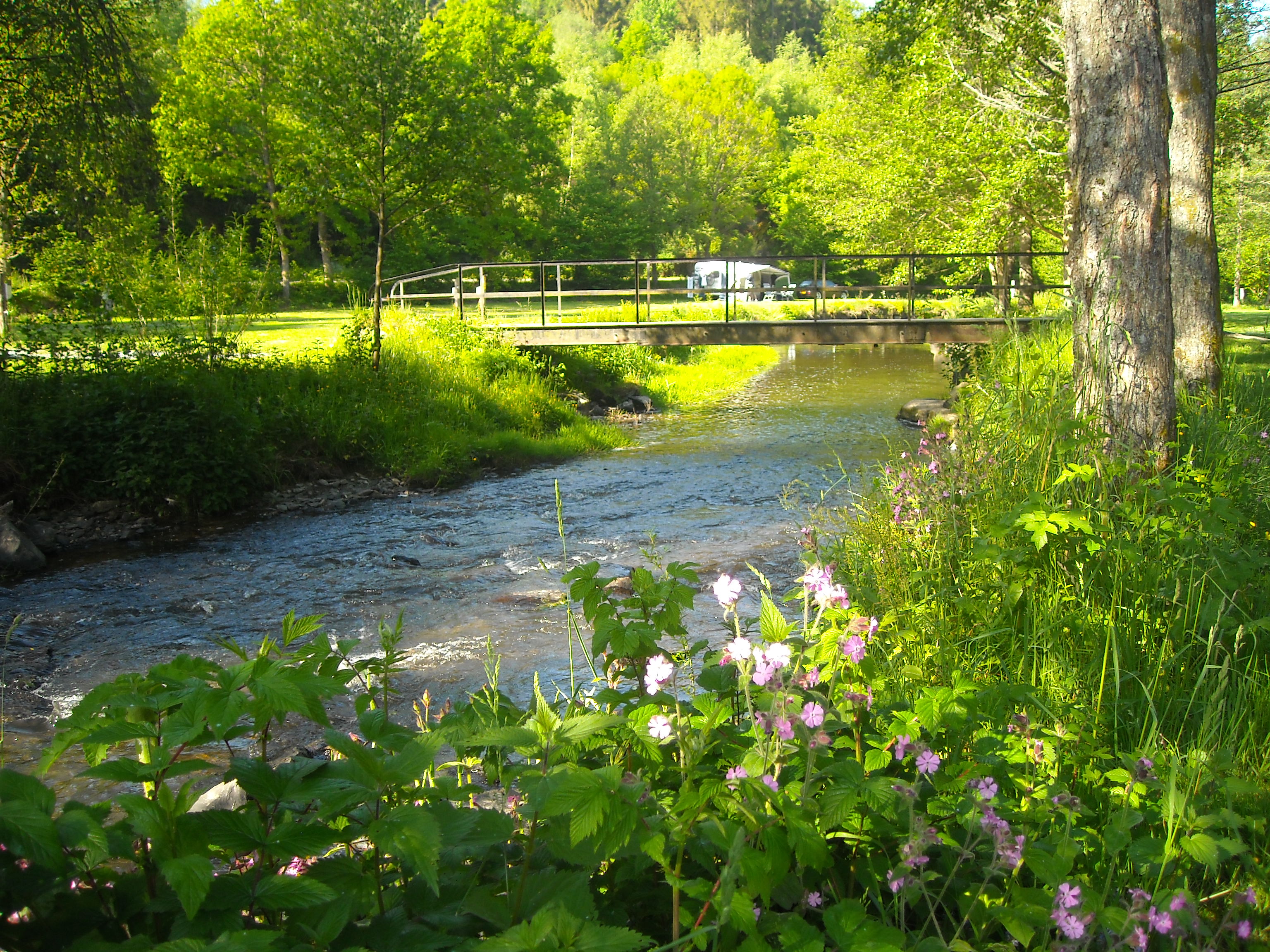 Camping Moulin de Bistain