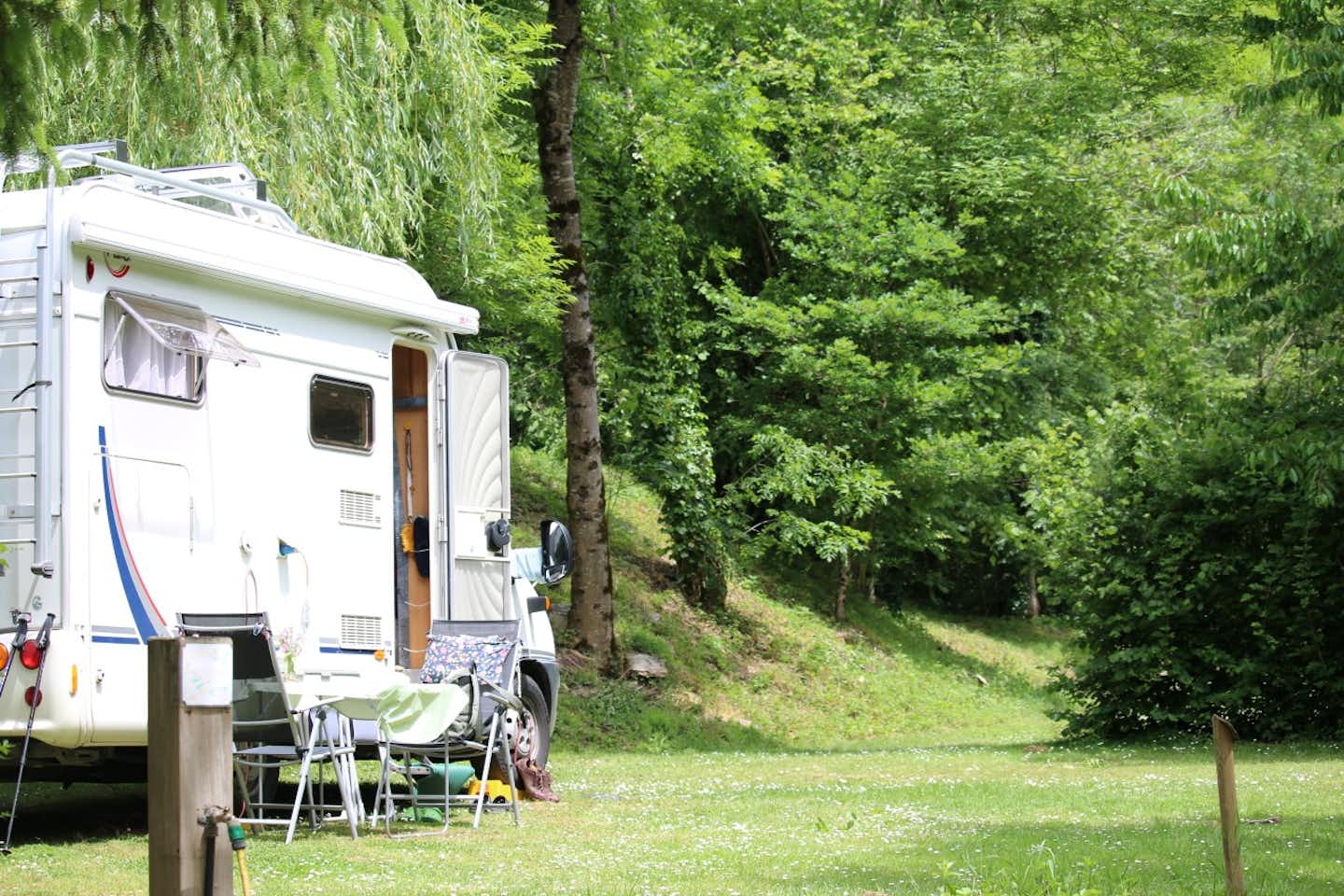 Camping Moulin de Chaules  -  Wohnmobilstellplatz im Grünen auf dem Campingplatz