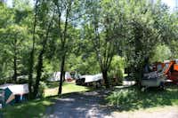 Camping Moulin de Chaules  -  Wohnwagen- und Zeltstellplatz zwischen Bäumen auf dem Campingplatz