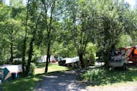 Camping Moulin de Chaules  -  Wohnwagen- und Zeltstellplatz zwischen Bäumen auf dem Campingplatz