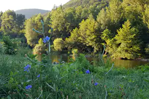 Camping Moulin de la Galinière