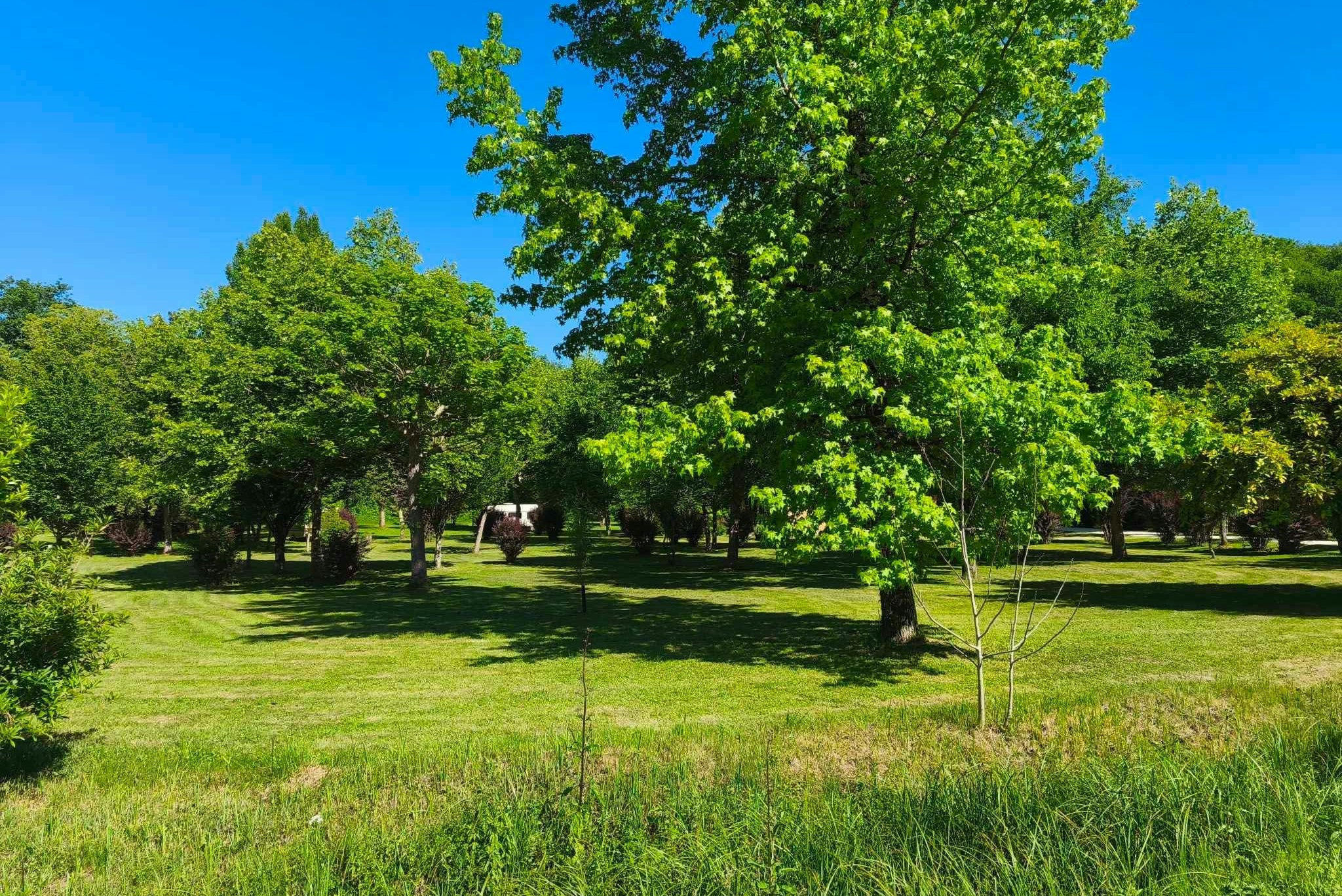 Camping Moulin de Laborde - Standplatzwiese auf dem Campingplatz