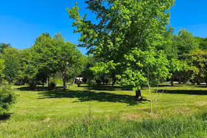 Grünes Campinggelände mit Rasenfläche und vielen Bäumen, im Hintergrund ein blauer Himmel.
