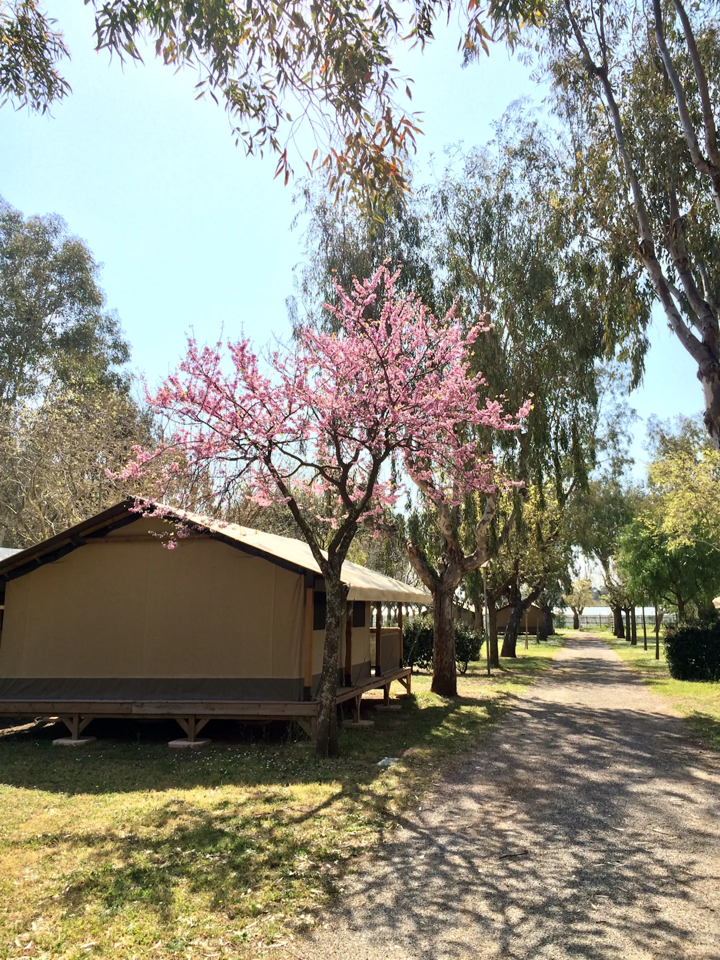 Camping Moulières