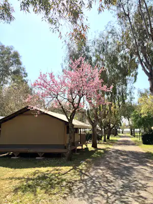 Camping Moulières